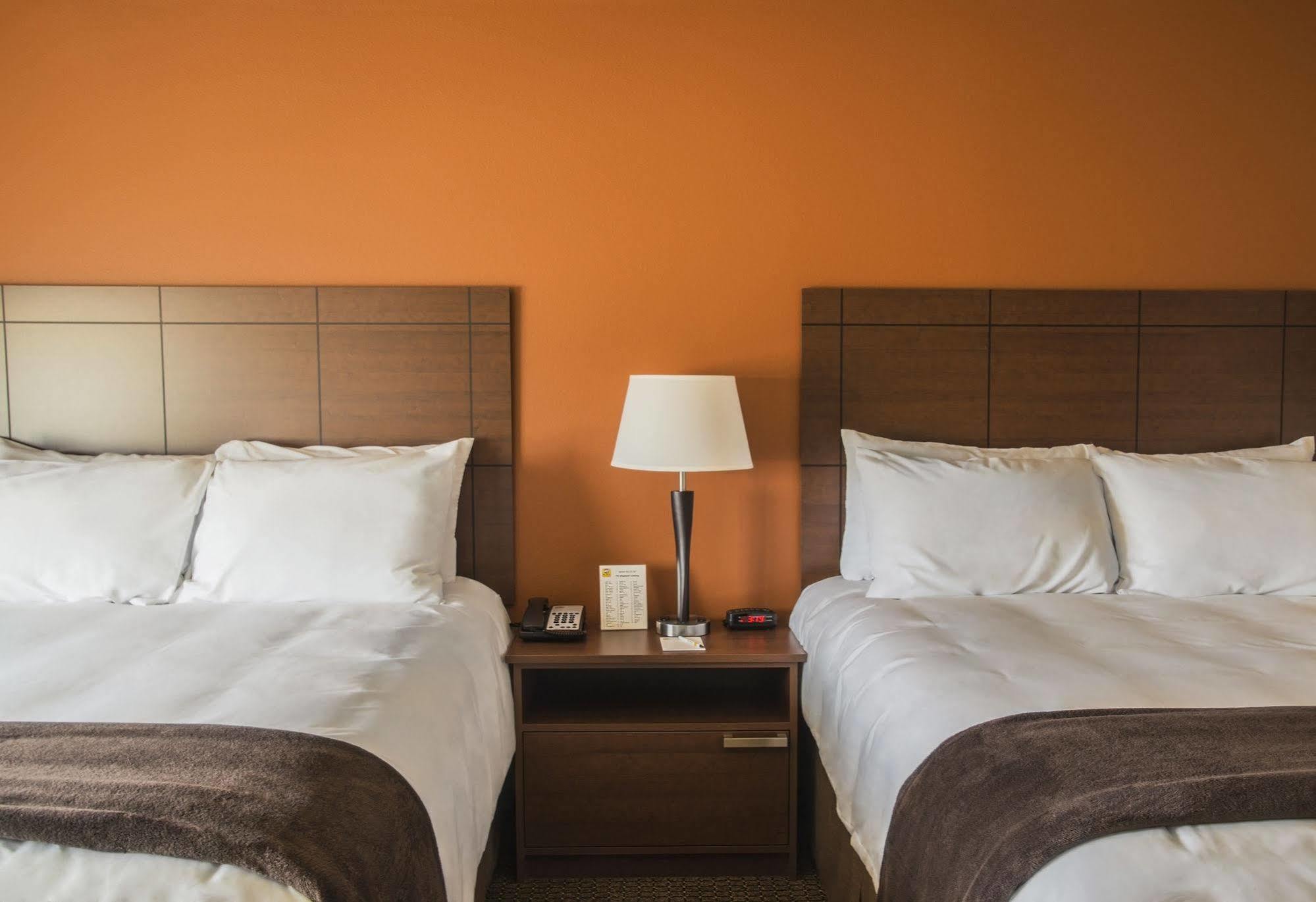 My Place Hotel-South Omaha/La Vista, NE Esterno foto